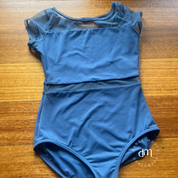 Capezio blue leotard