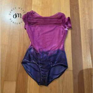 Pre-loved Two-toned leotard | Excellent condition | Adult large